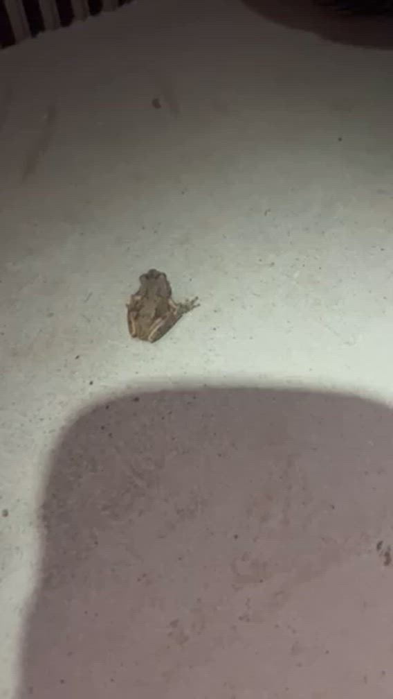 ありがとうございました