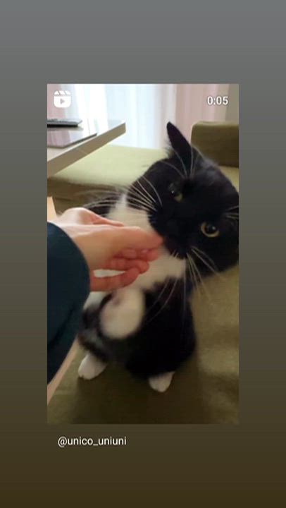 無料コスプレ♡個人オプション♡個人キャンペーン