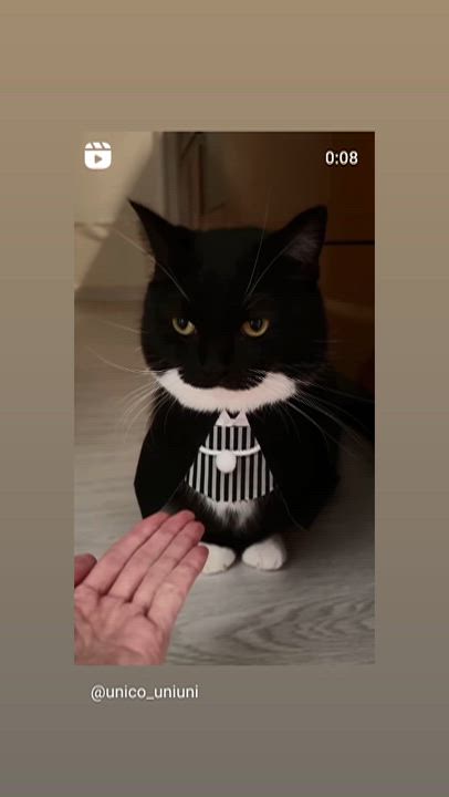 お題:【一日中やらなきゃいけないなら】 ずっと勉強、ずっとマラソン、どっちがいい?に回答♪