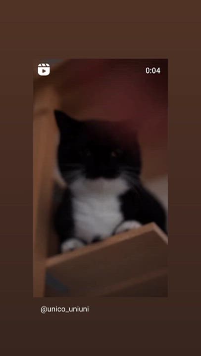 【デートは計画派ノープラン派】