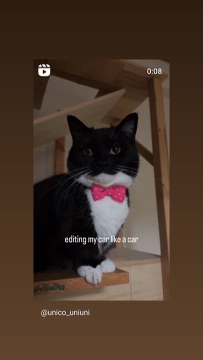 お疲れ様です 今日は私用で松山にいたので 明日平日宜しくお願い致します