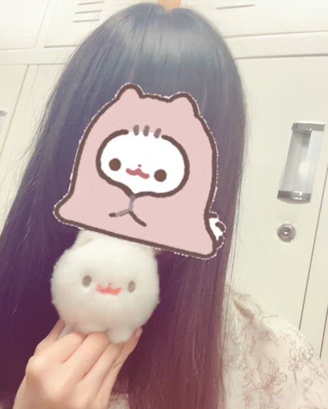 出勤しました🐈
