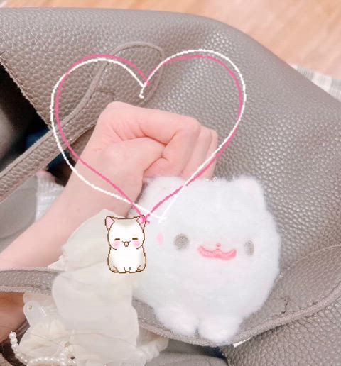 出勤しました🐈