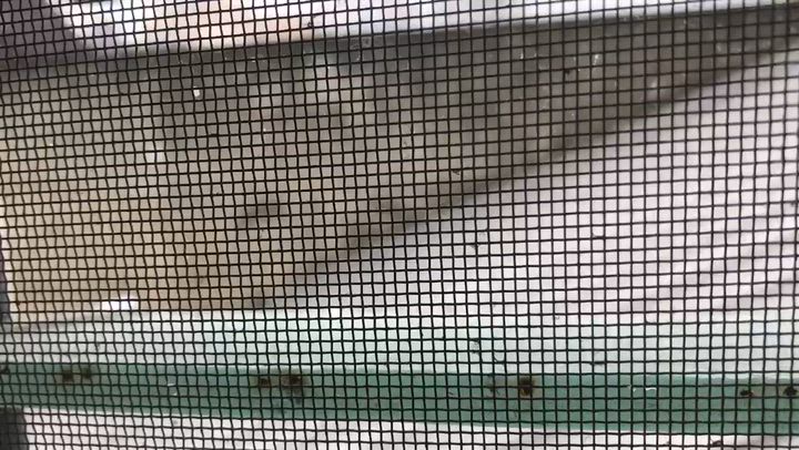 @❄️雪•一瞬に______!