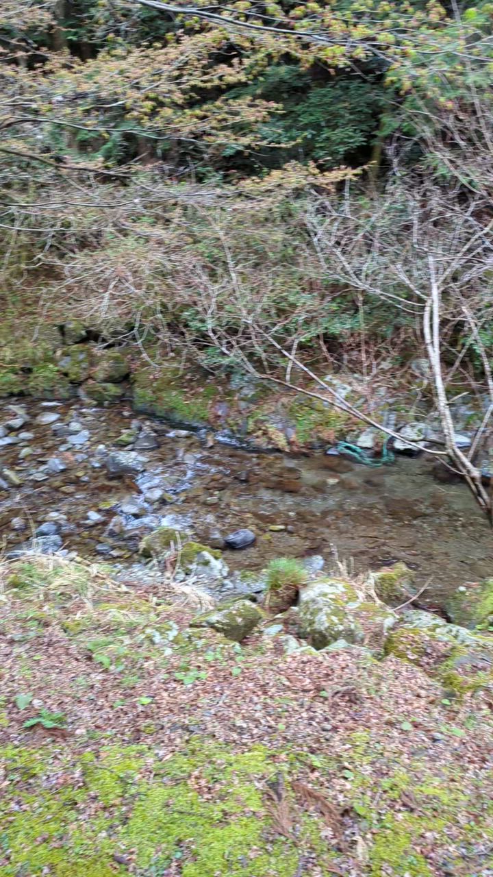小川のせせらぎ(^^)