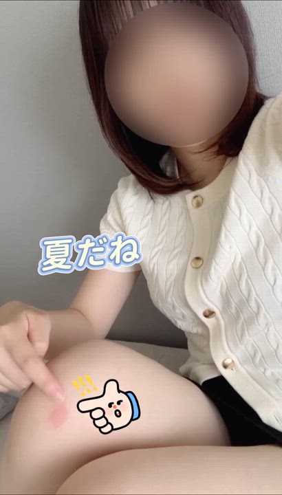 夏の定番です🍉