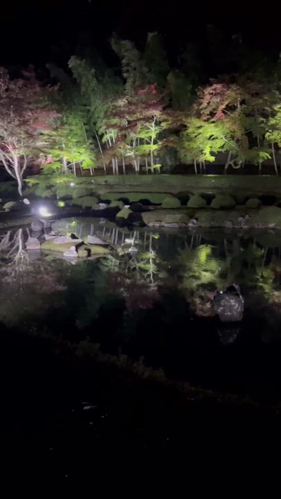 先日のお話🍀*゜