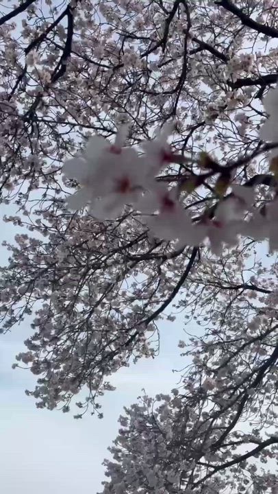 ありがとうございました❣️