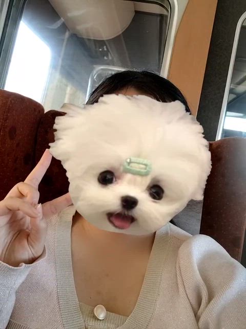 ラスト記念に！