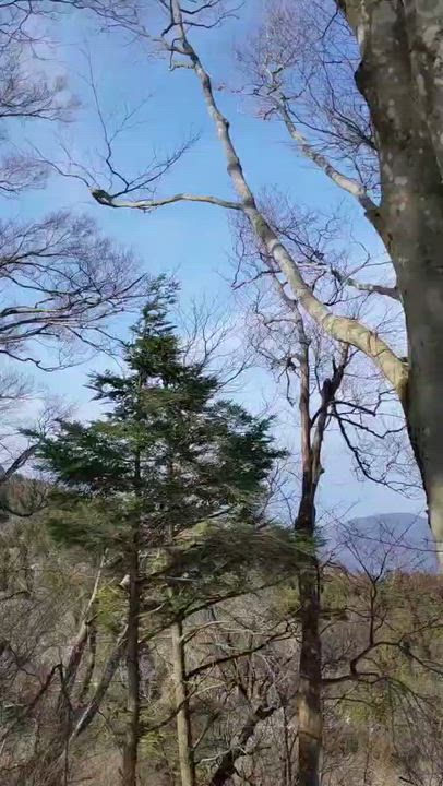 ギュッ　ギュッ　♪