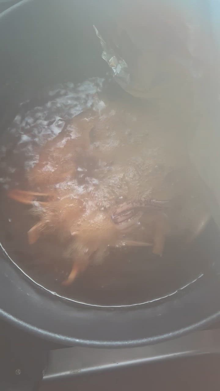 こんにち○ぽ🩷