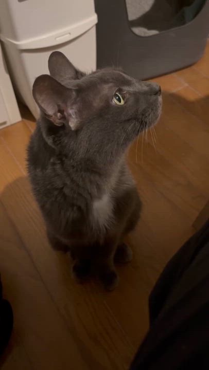 わたしの部屋のお客様へ♥️