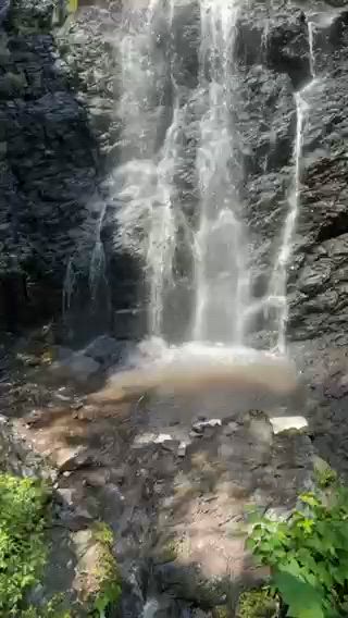 出勤しました 