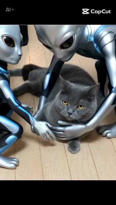 🎥動画💗永遠に♾️