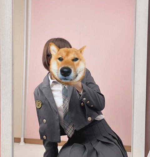 今日は雛祭り！