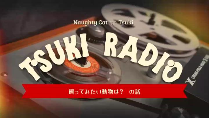 🎵⭐︎ 【 飼ってみたい動物は？ 】の話