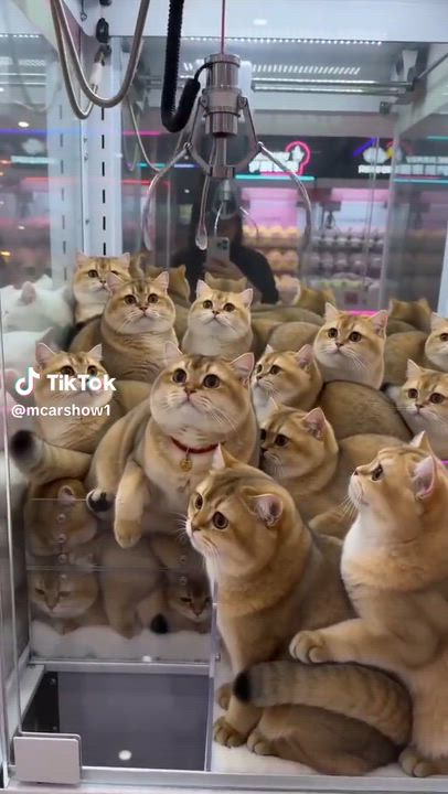 3月も沢山のご予約お待ちしています('◇')ゞ