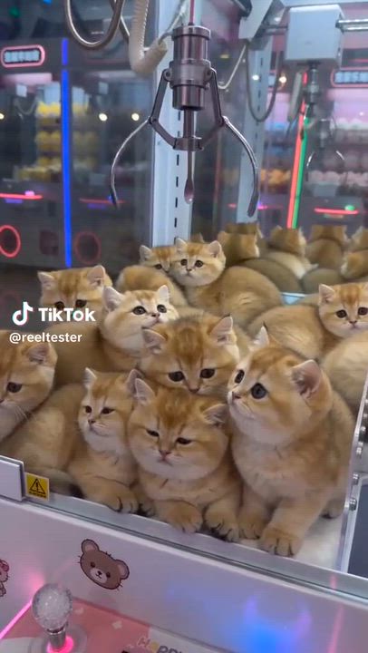 倉敷方面も行けます❣沢山のご予約お待ちしています('◇')ゞ