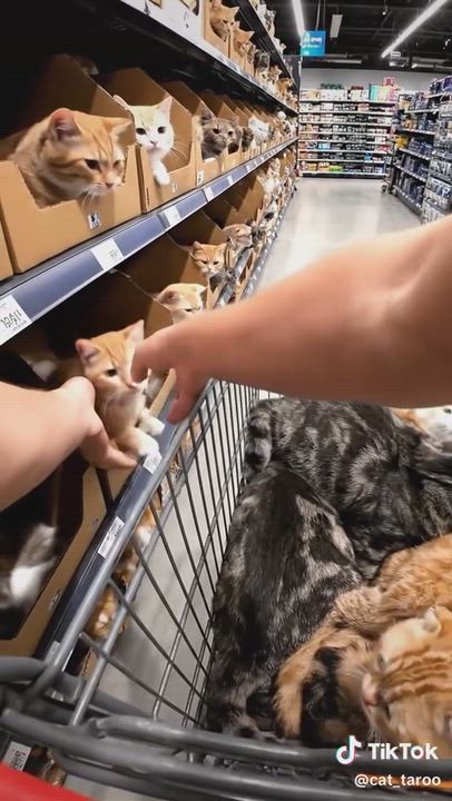 ご予約お待ちしています('◇')ゞ