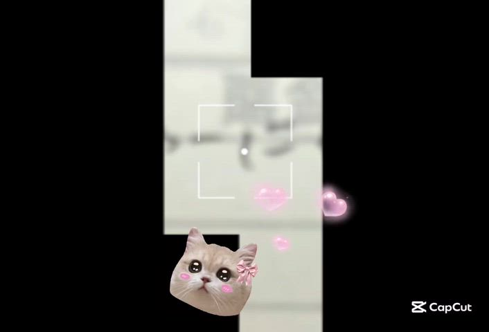 ·͜· ꕤ︎︎