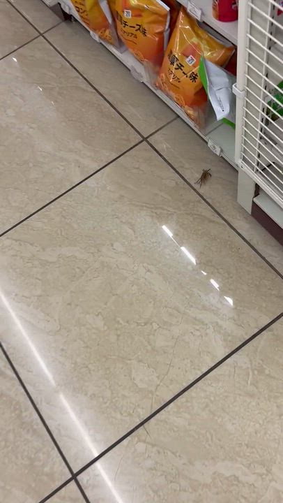 なんで!?笑