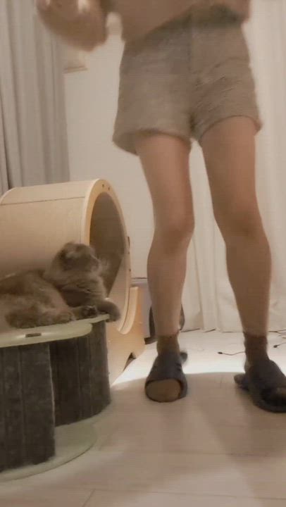 チューチュートレインはコレだっけ？生意気猫娘と汗と涙無しでは載せれない大矢のVログ