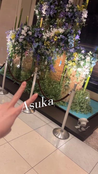 合間のひとやすみ💤