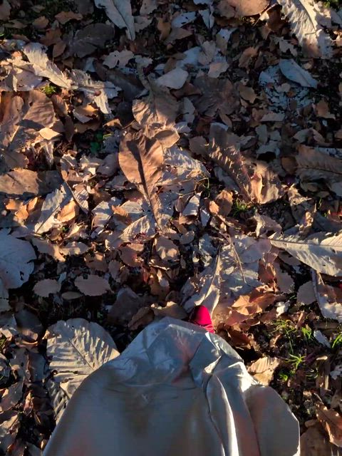 音のソノリティ