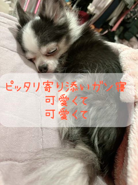 本日のお詫び🙇‍♀️