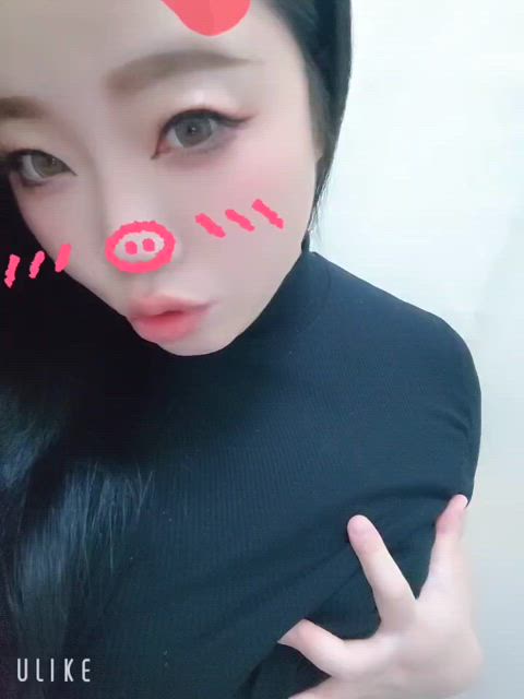 徳島・秋田鷹匠ちゃんこ