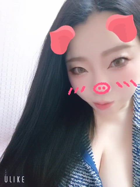 徳島・秋田鷹匠ちゃんこ