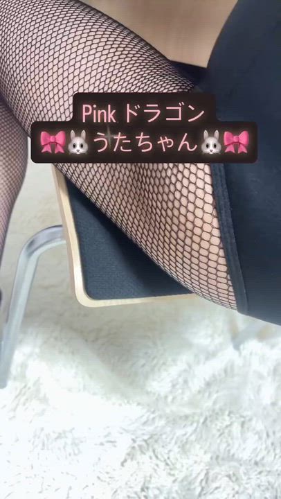 うたちゃん動画