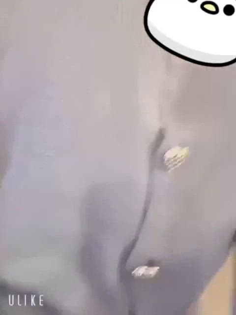 あきほ